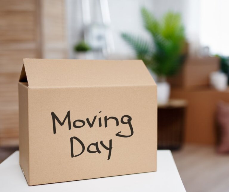 An opened box with moving day writing on it